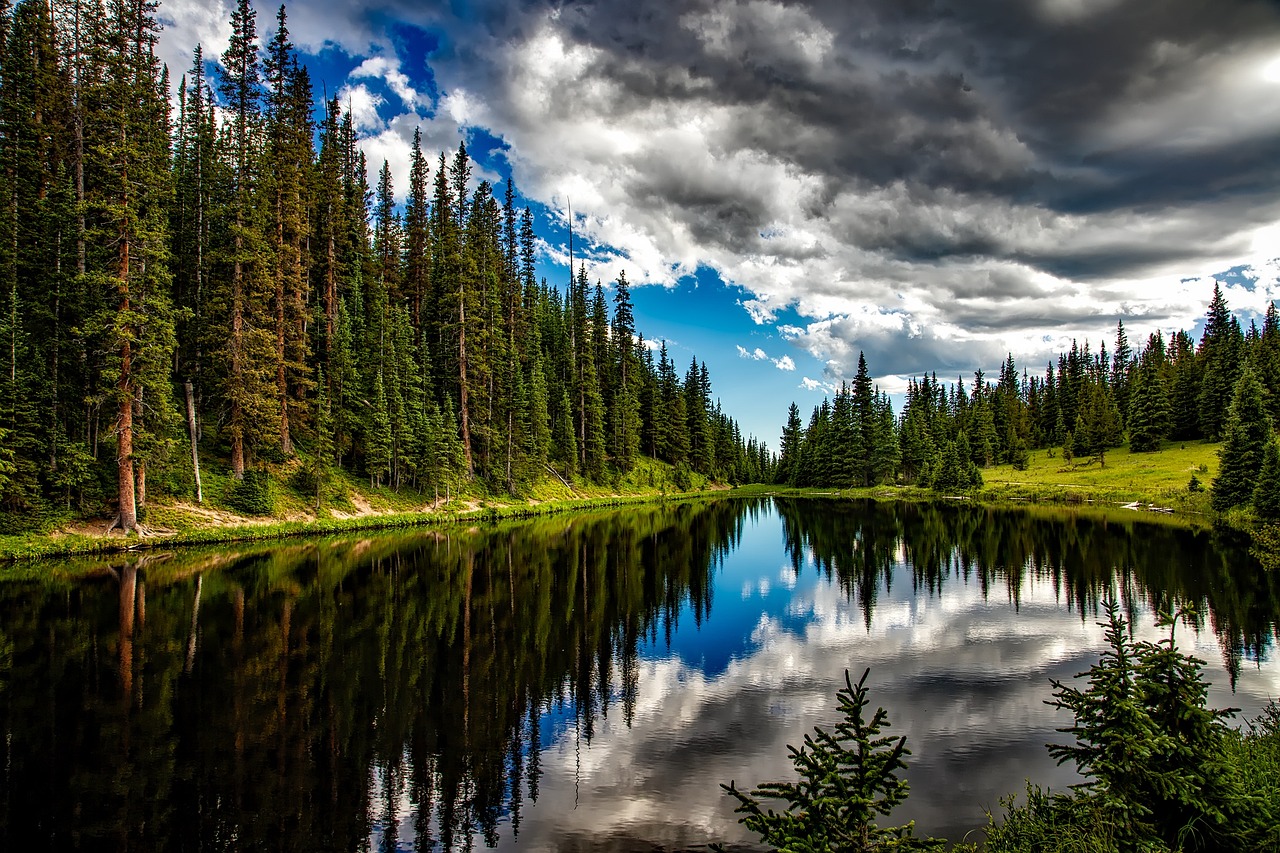 lake, conifers, clouds-1679708.jpg